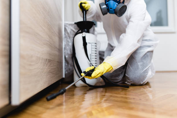 Best Pest Inspection Near Me  in Arnaudville, LA