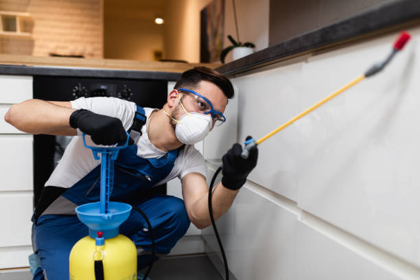 Professional Pest Control in Arnaudville, LA