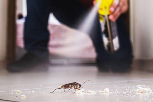 Best Flea Control Services  in Arnaudville, LA
