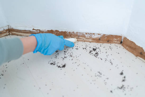 Best Exterminator Services  in Arnaudville, LA