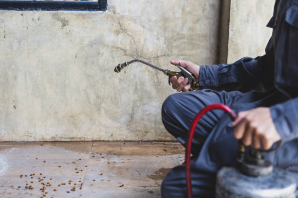 Best Best Pest Control Near Me  in Arnaudville, LA